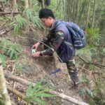 75228c7c-bdcb-4c4b-8c8c-fd7fcd24034c