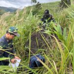 WhatsApp Image 2025-09-17 at 15.06.54_28225164