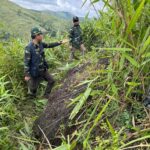 WhatsApp Image 2025-09-17 at 15.06.54_393d9a81