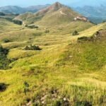 WhatsApp Image 2025-09-17 at 15.06.54_4015e2d3