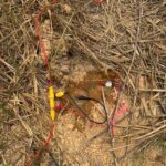 WhatsApp Image 2025-09-17 at 15.06.55_1e727c4f