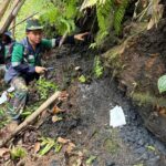 WhatsApp Image 2025-09-17 at 15.06.55_41a89a9c