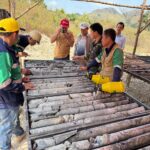 WhatsApp Image 2025-09-17 at 15.06.55_425dd408