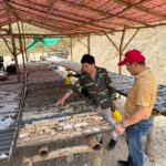 WhatsApp Image 2025-09-17 at 15.06.55_99b4b95d