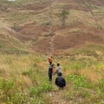 WhatsApp Image 2025-09-17 at 15.06.55_ddd7bc71