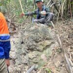 e0d05847-5355-4ffc-ba80-ca69c1ec5774