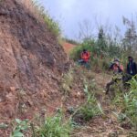 e4012a53-3270-476b-8745-a36804ec9a1e